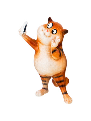 Кот селфи