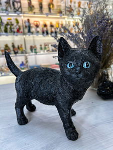 Черный кот
