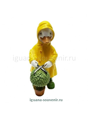 Утёнок в плаще 