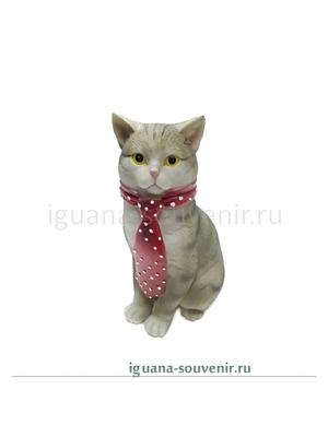 Кот в галстуке 