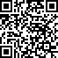 Пакет Подарочный (*12) 31*42*12 см QR Code