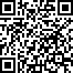 Пакет крафт (*12) 26*32*12 см QR Code